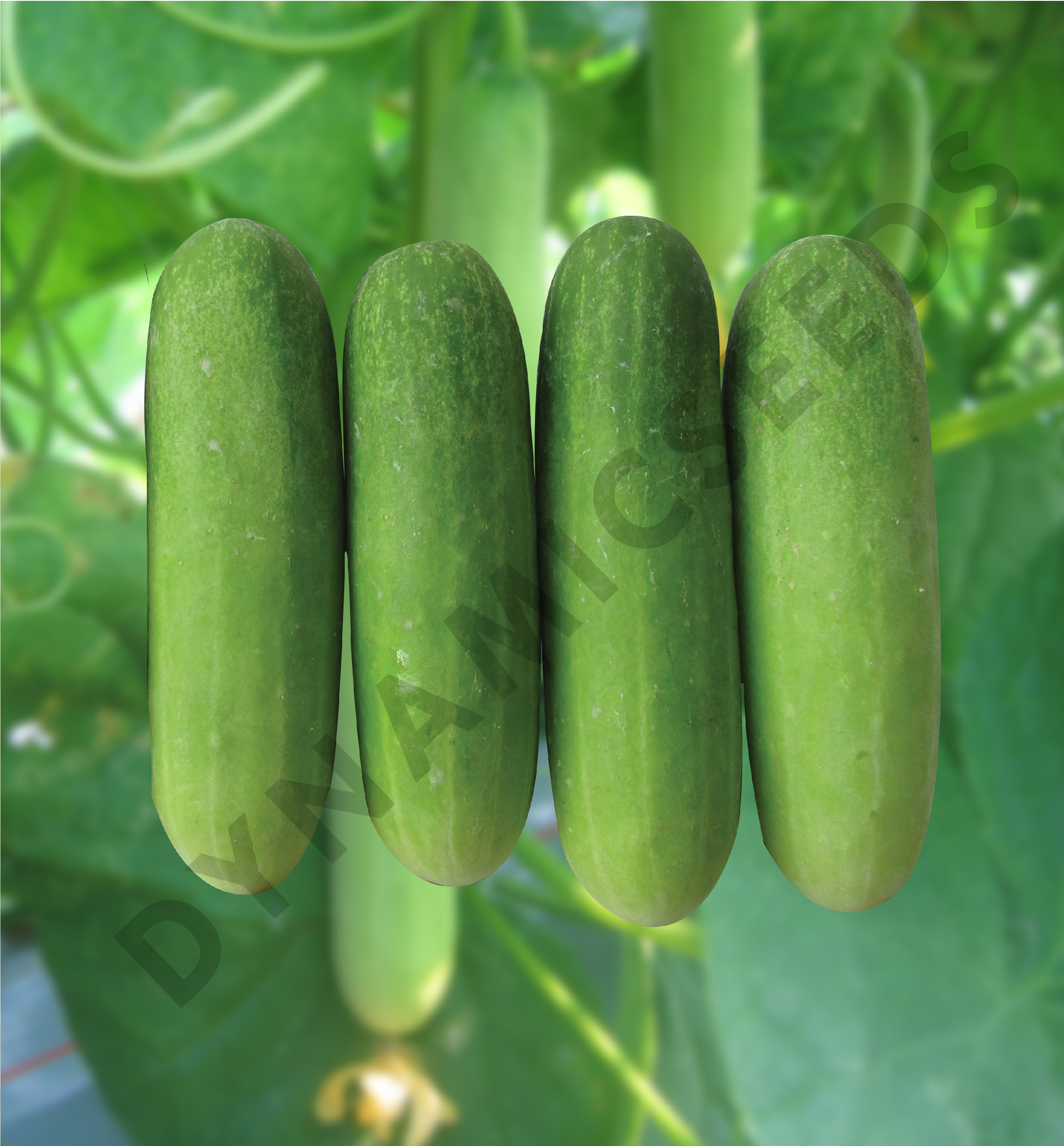 test test