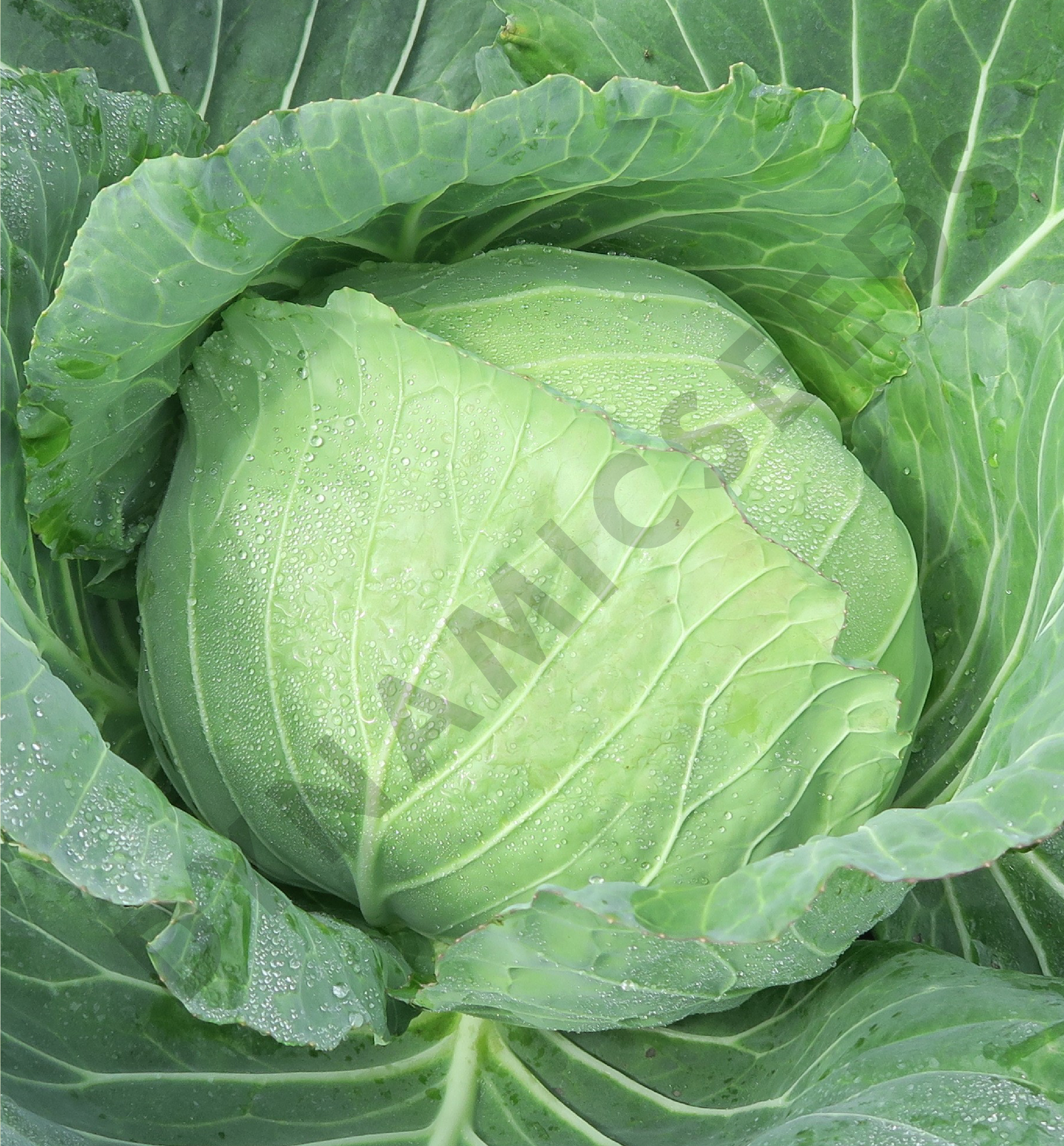 test test