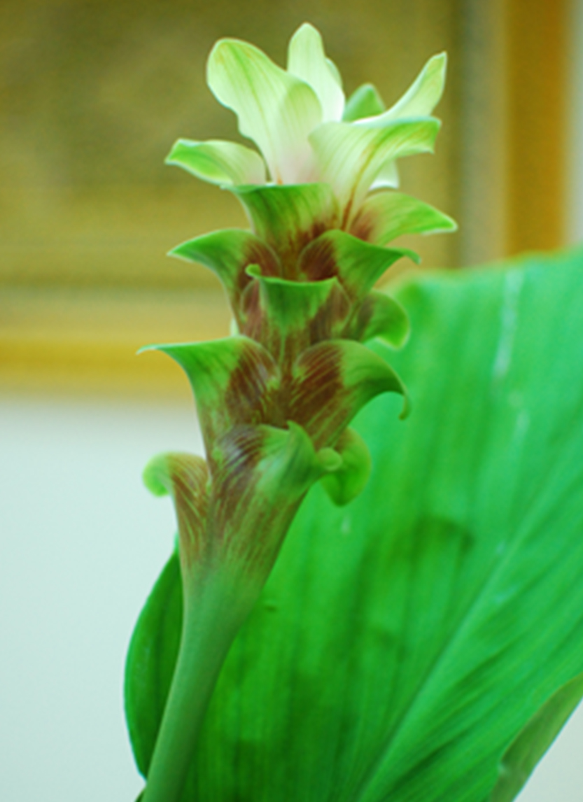 test test